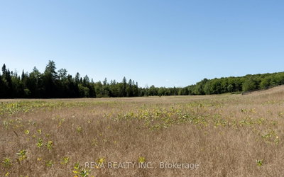 122 Albert Road • Coe Hill, ON photo 6