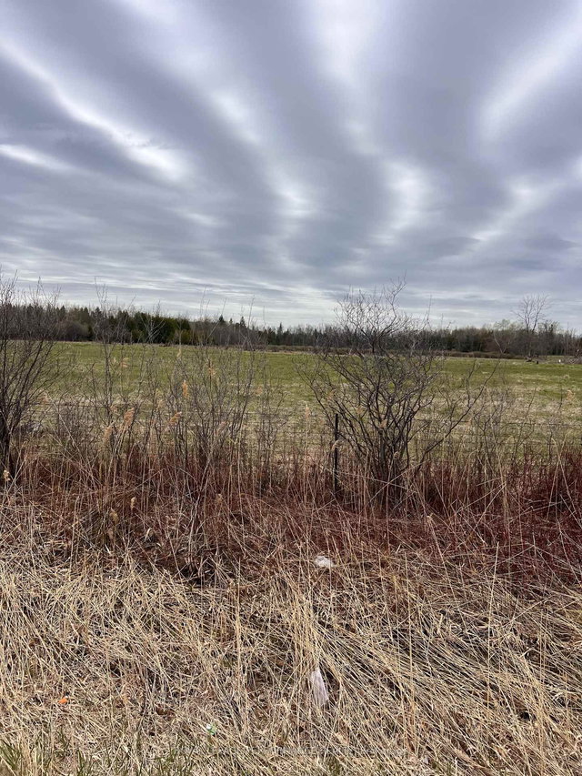 1548 DWYER HILL Road