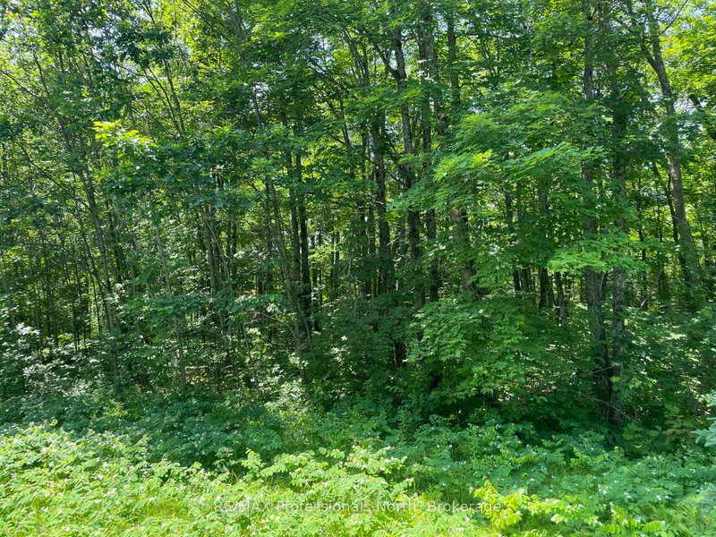 0 Glamor Lake Road