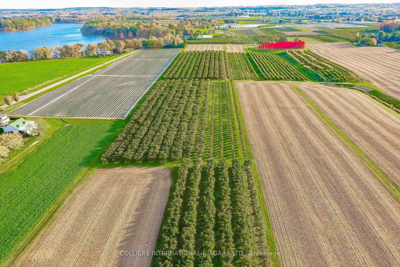 3120 Marina Boulevard - Photo 10