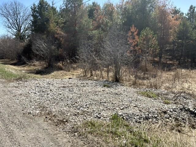 0000 COUNTY ROAD 16 Road