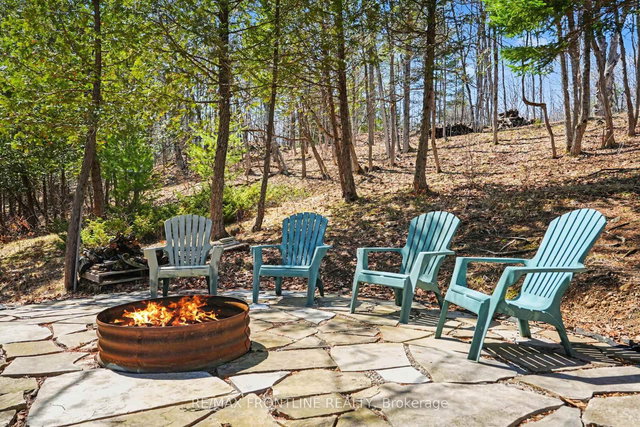 4277 Scotch Line Road