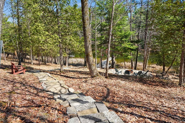 4277 Scotch Line Road