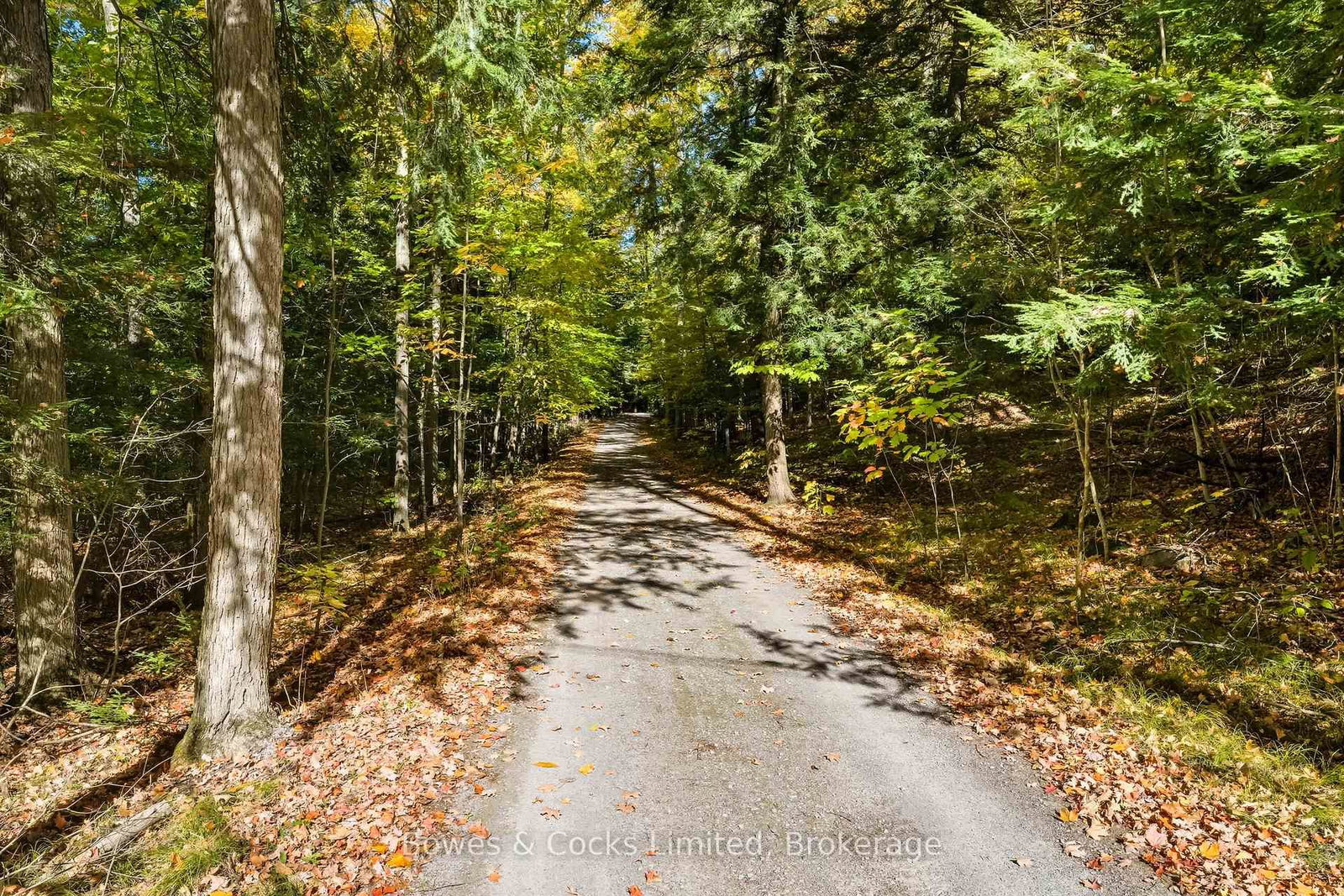 511 Concession Road 12 E • Trent Hills, ON photo 42