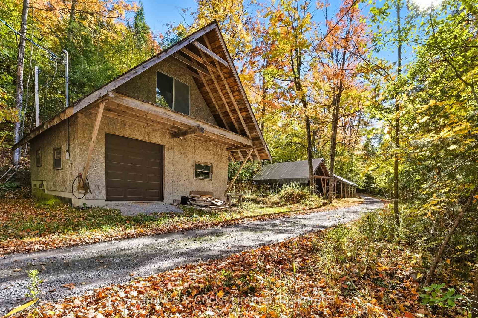 511 Concession Road 12 E • Trent Hills, ON photo 43