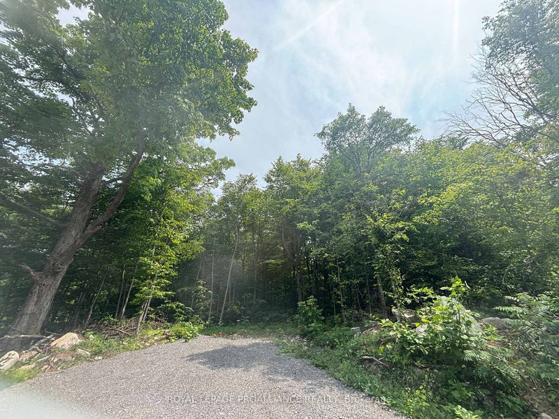 Severed B - 554 Pigden Rd, Madoc, K0K 2K0 | Image 2