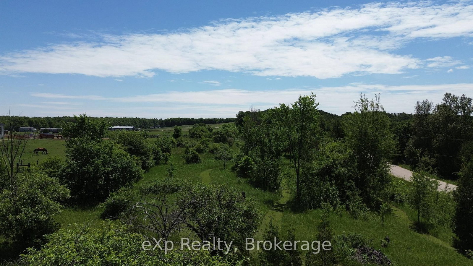 125 Lake Drive • West Grey, ON photo 37