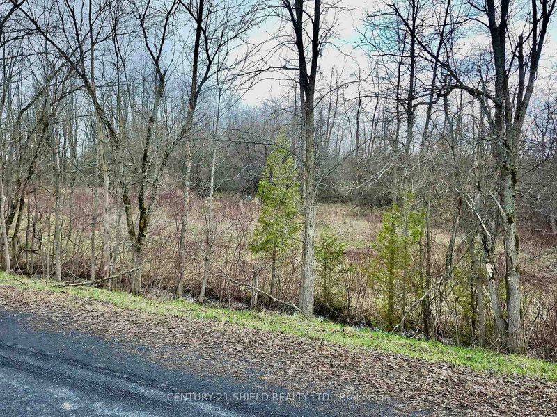 15448 North Lunenburg Rd, South Stormont, K0C 1R0 | Image 2