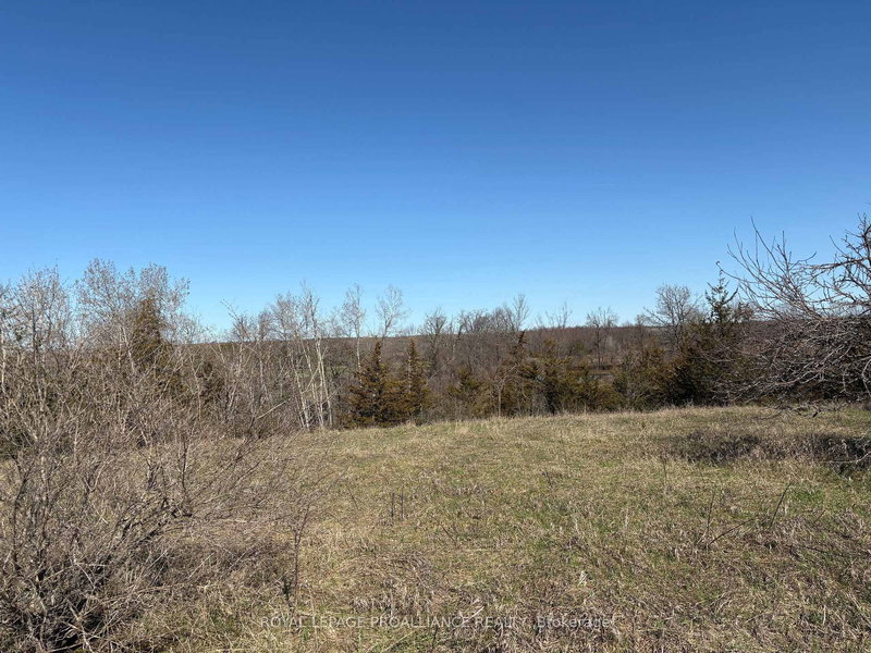 1880 13th Line E, Trent Hills, K0L 1L0 | Image 3