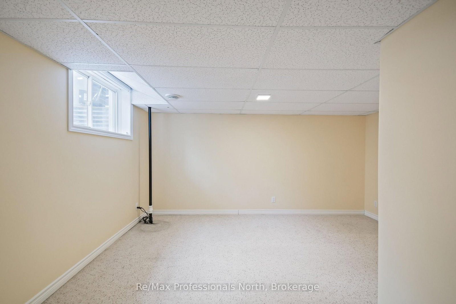 151 Pine Street - Photo 12