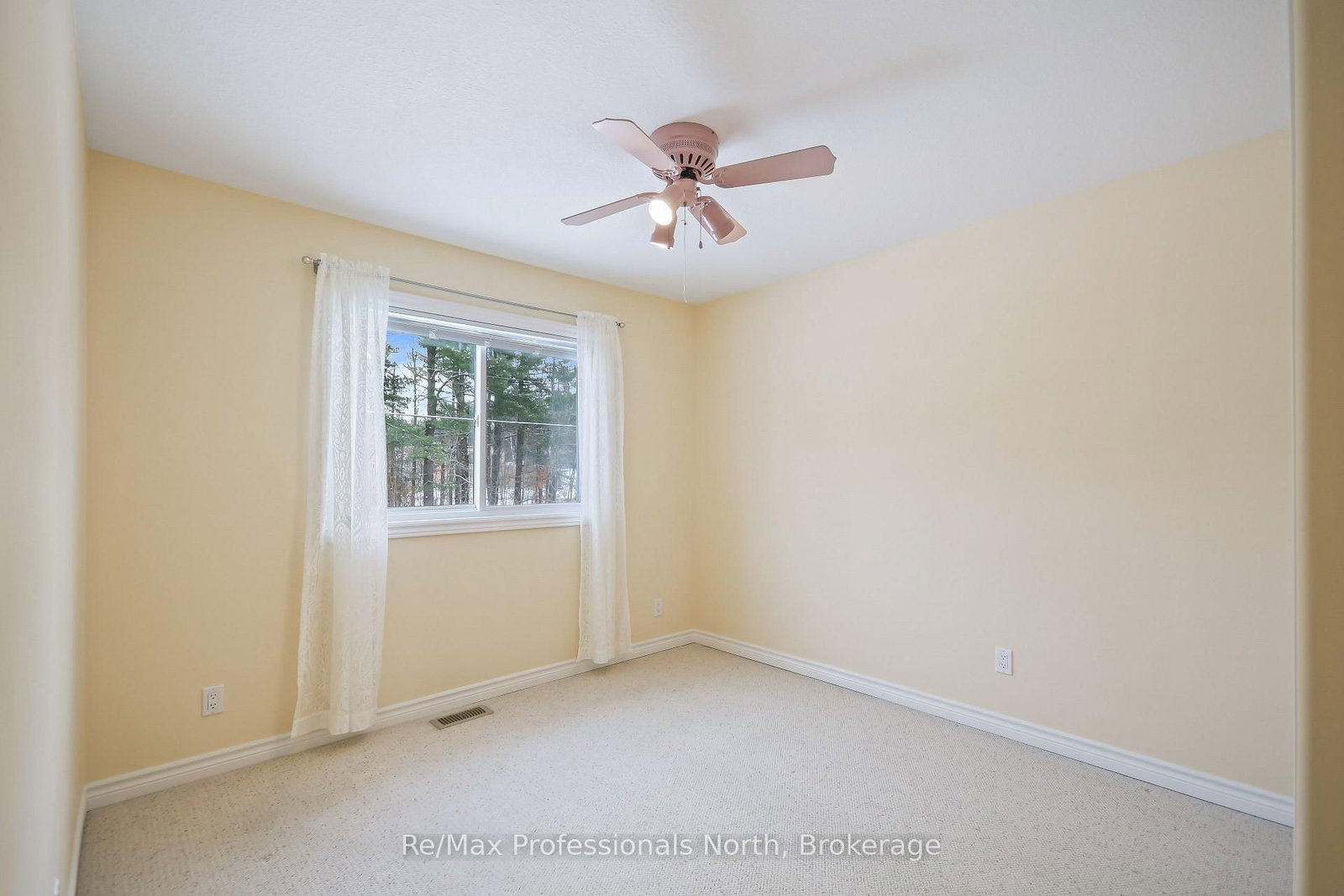 151 Pine Street - Photo 15