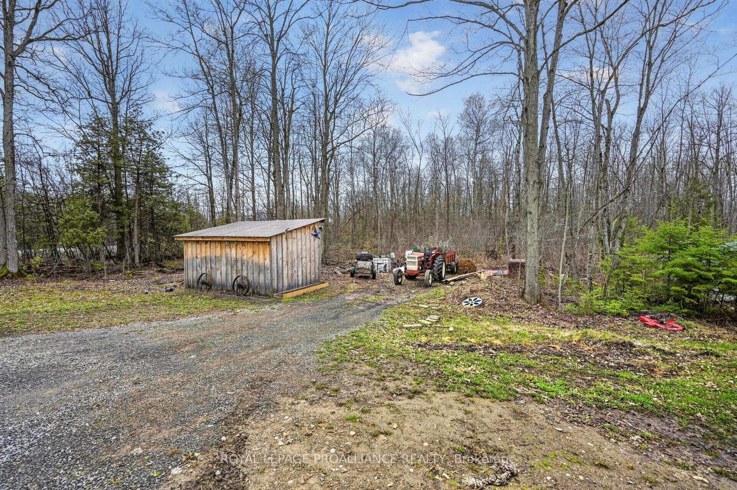 10932 Jellyby Road - Photo 4