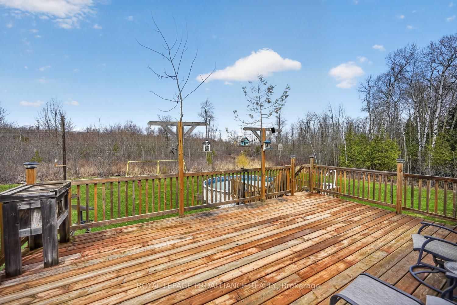 10932 Jellyby Road - Photo 40