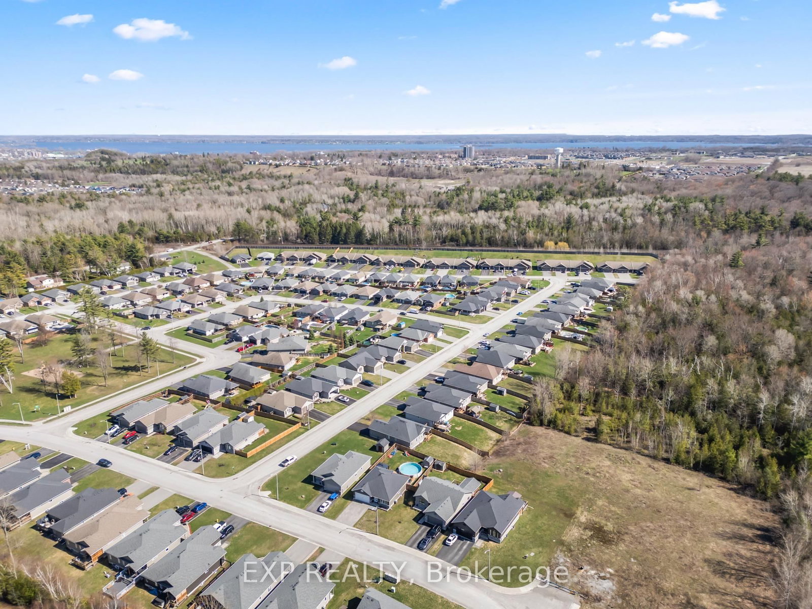 47 Birchmount Street - Photo 44