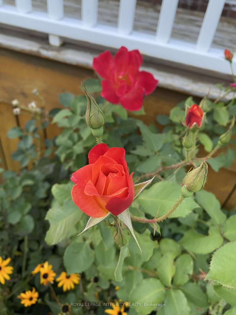 3264 Johnston Ave, Cornwall, K6K 1H3 | Image 2