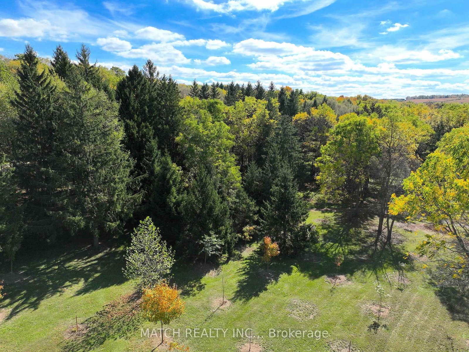 17000 Storey Drive - Photo 40