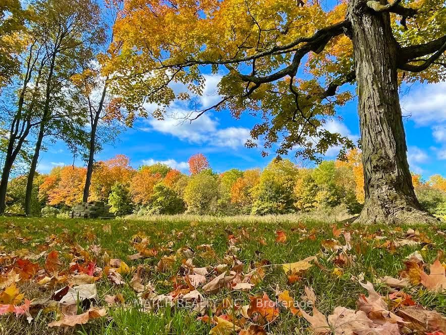 17000 Storey Drive - Photo 8