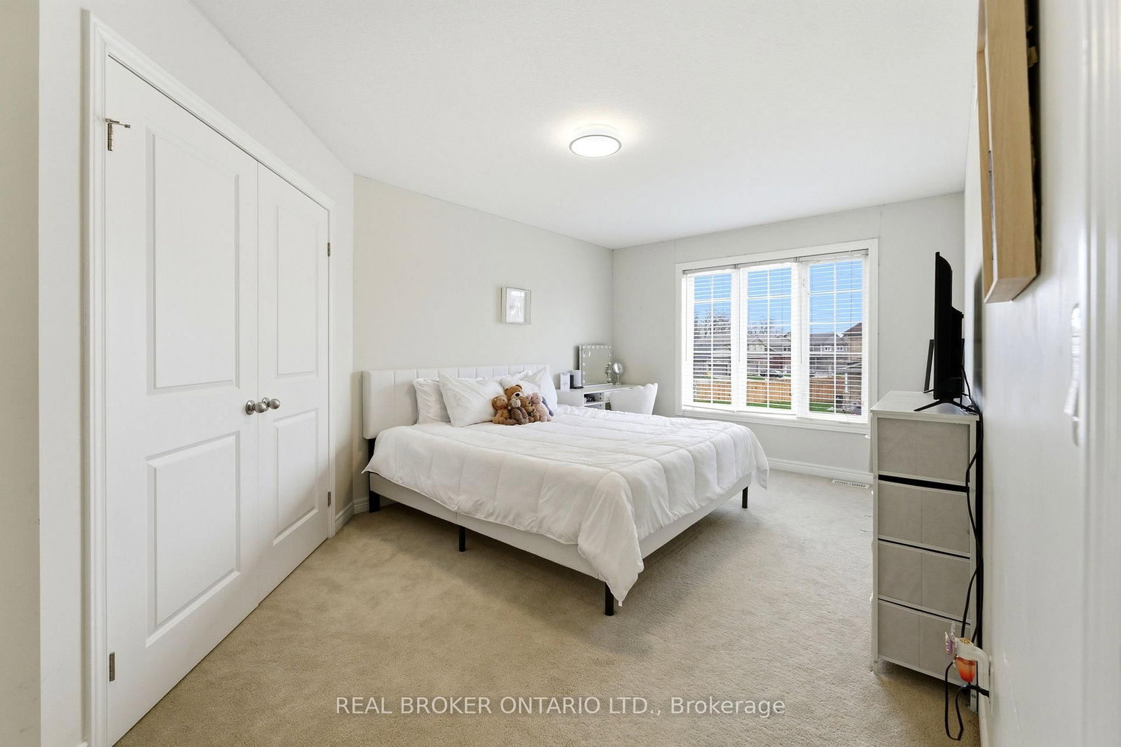 6 Freer Drive - Photo 17