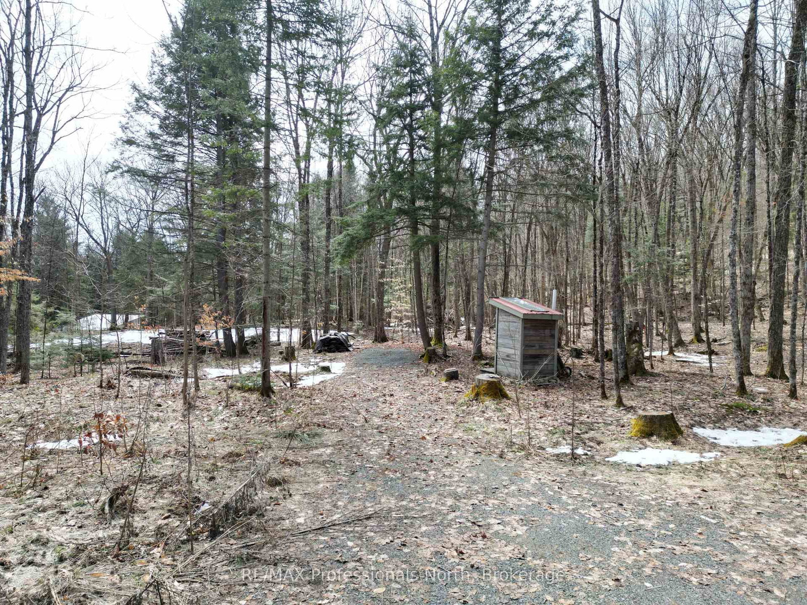 1231 Big Hawk Lake Road • Algonquin Highlands, ON photo 10