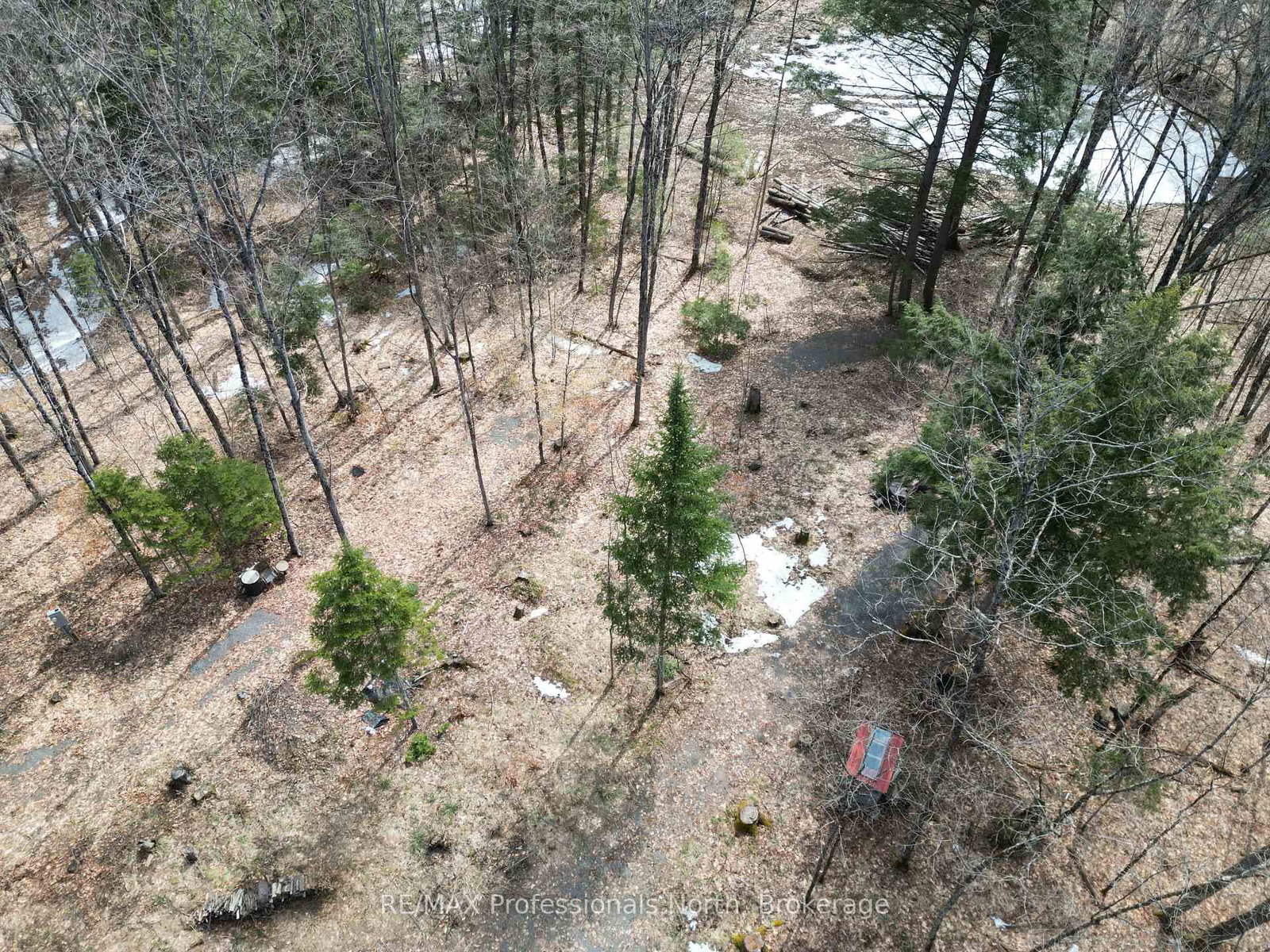 1231 Big Hawk Lake Road • Algonquin Highlands, ON photo 12