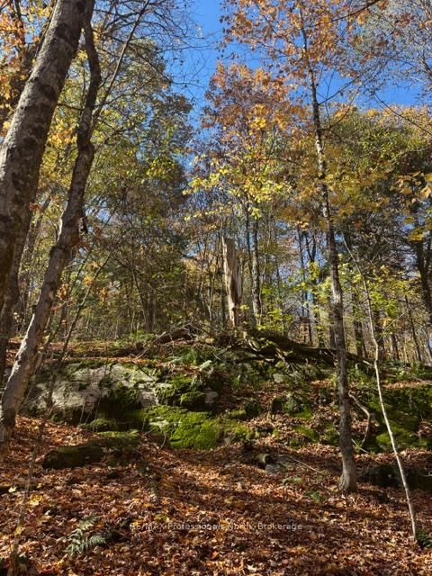 1231 Big Hawk Lake Road • Algonquin Highlands, ON photo 16