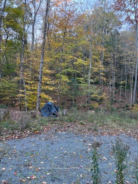 1231 Big Hawk Lake Road • Algonquin Highlands, ON photo 18