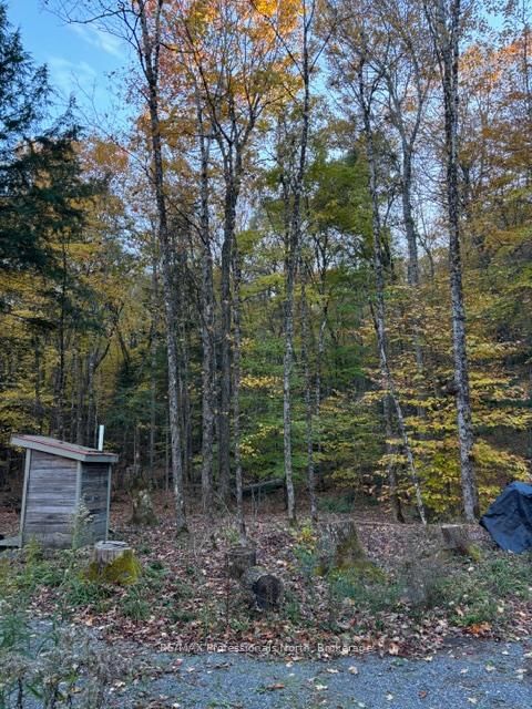 1231 Big Hawk Lake Road • Algonquin Highlands, ON photo 19