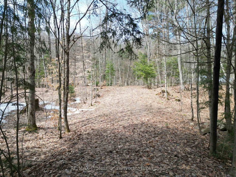 1231 Big Hawk Lake Road