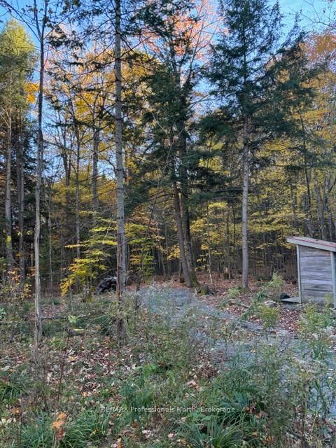 1231 Big Hawk Lake Road • Algonquin Highlands, ON photo 20