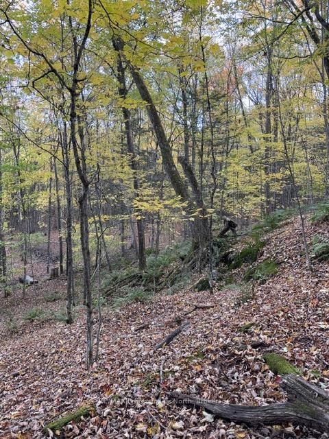 1231 Big Hawk Lake Road • Algonquin Highlands, ON photo 23