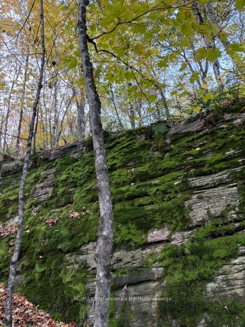 1231 Big Hawk Lake Road • Algonquin Highlands, ON photo 24