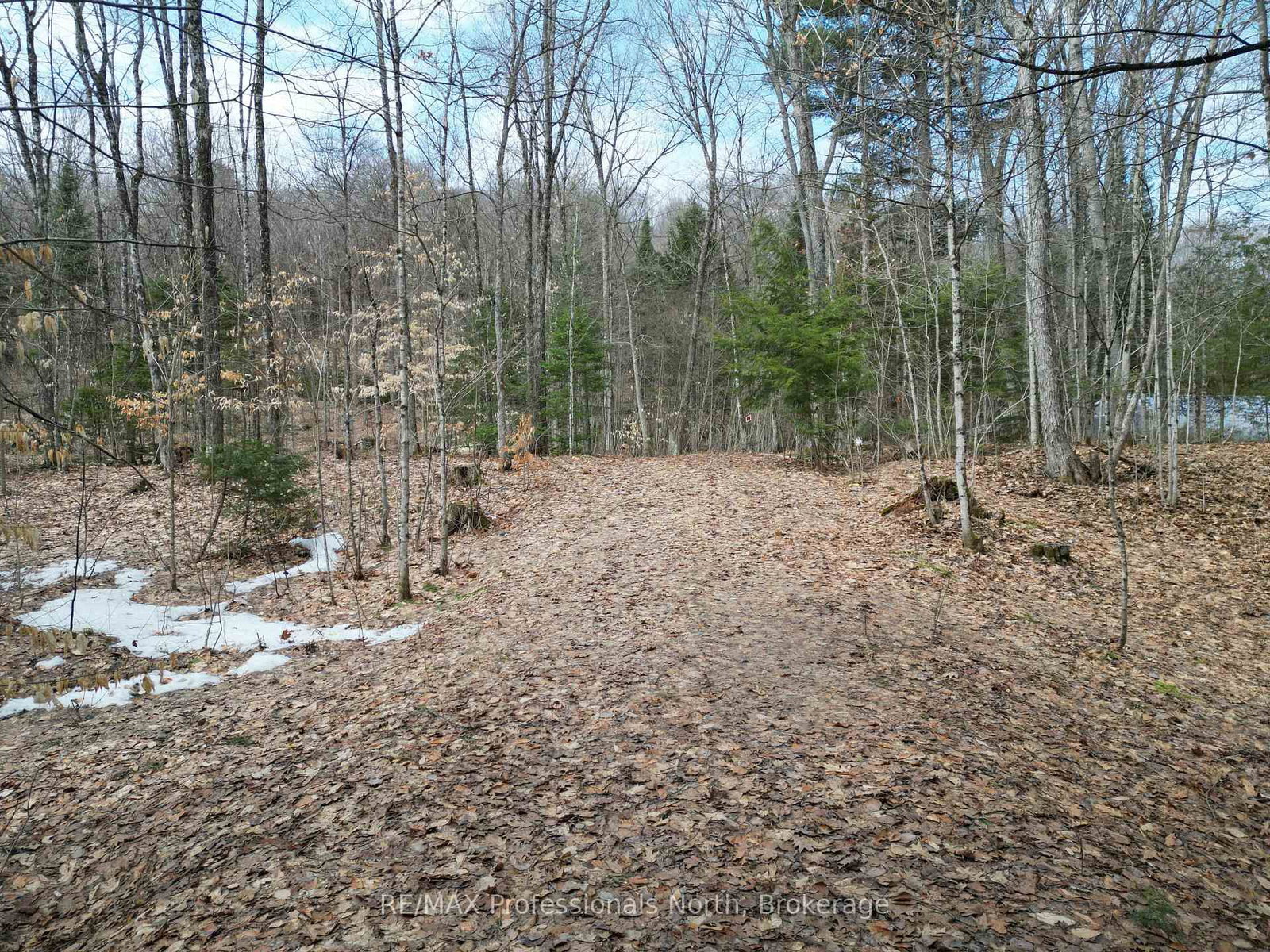 1231 Big Hawk Lake Road • Algonquin Highlands, ON photo 3