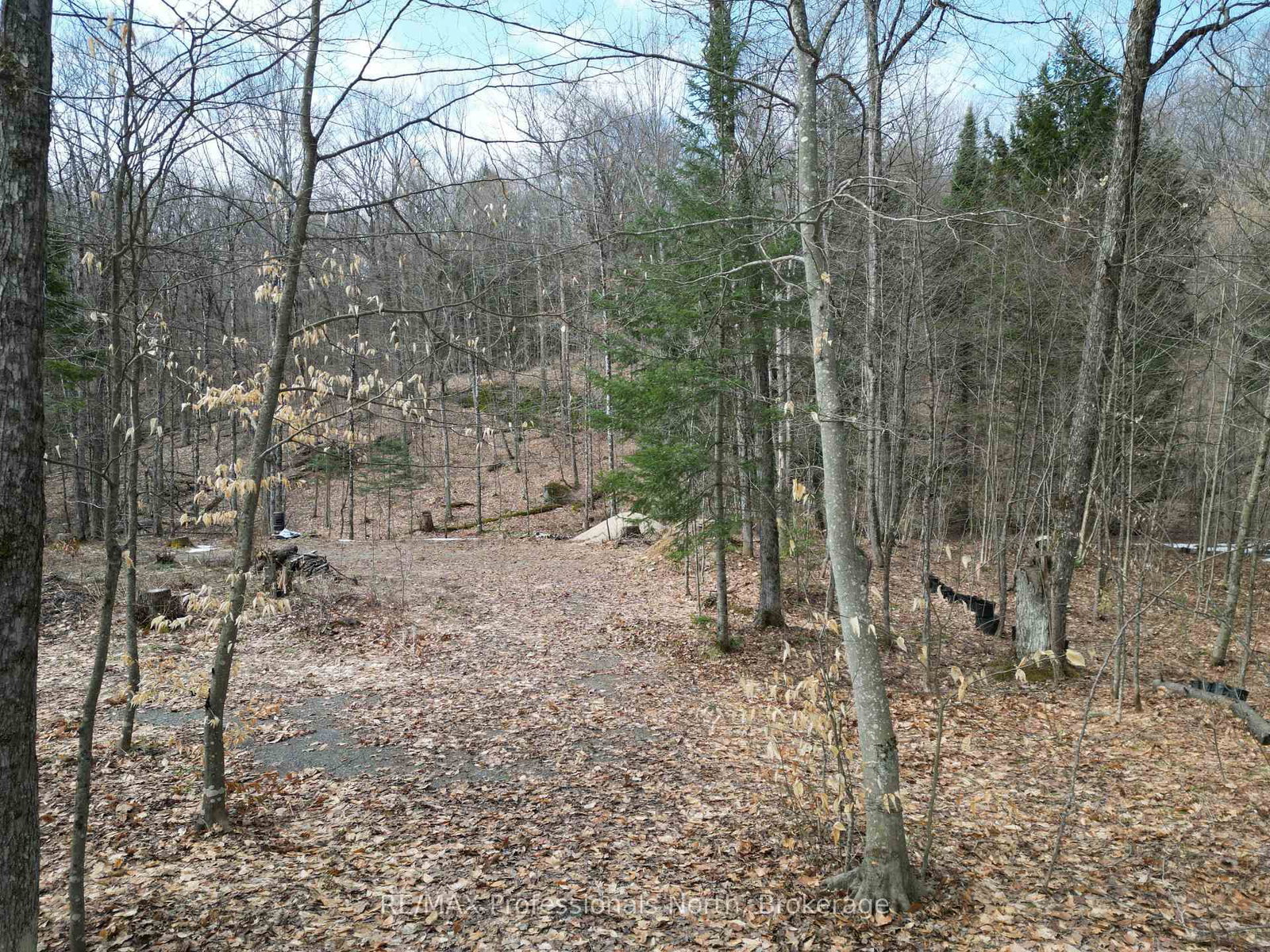 1231 Big Hawk Lake Road • Algonquin Highlands, ON photo 4
