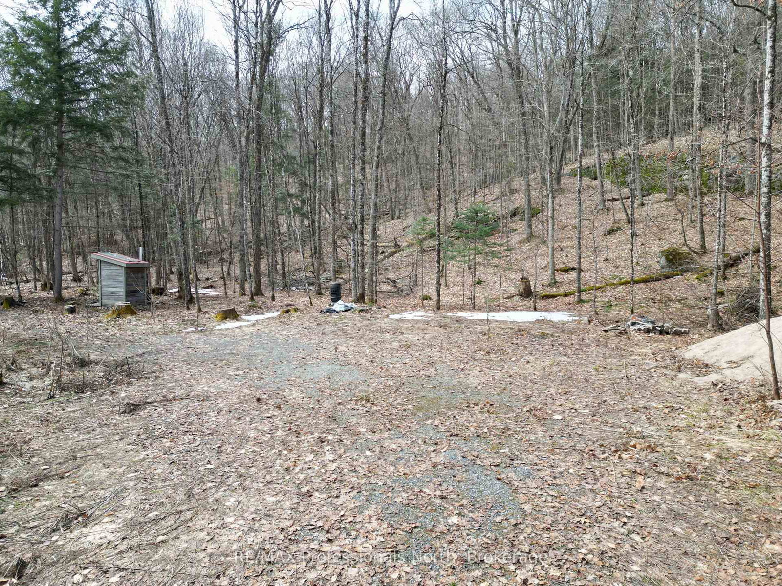1231 Big Hawk Lake Road • Algonquin Highlands, ON photo 8