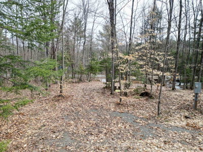 1231 Big Hawk Lake Road • Algonquin Highlands, ON photo 9