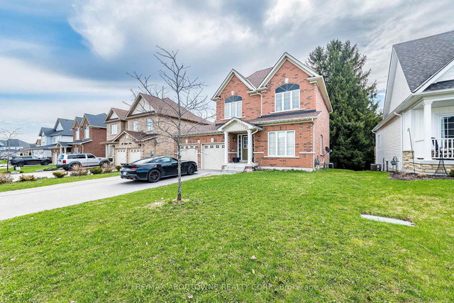 Basement - 22 Ryan Street