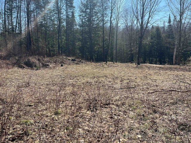 1270 Old Donald Road