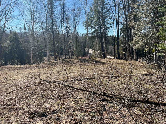 1270 Old Donald Road