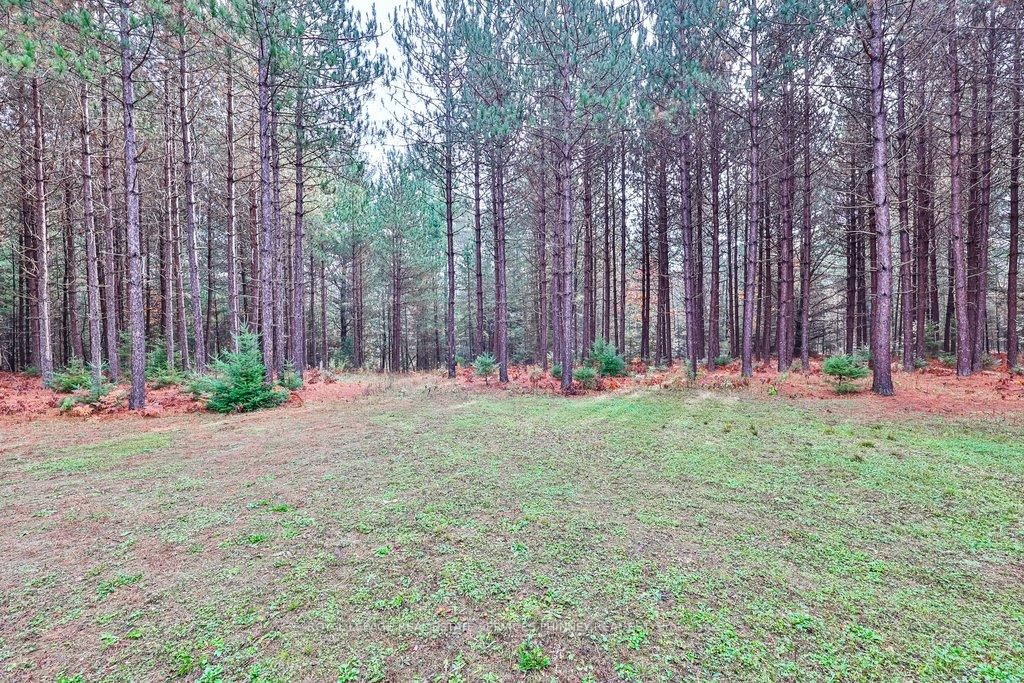 72 Harmonious Drive • Kawartha Lakes, ON photo 38