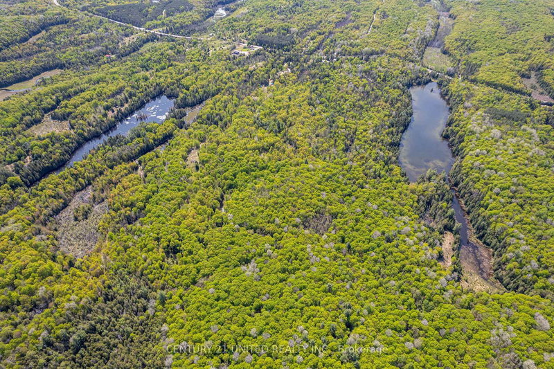 0 Johnson Rd, North Kawartha, K0L 1A0 | Image 3