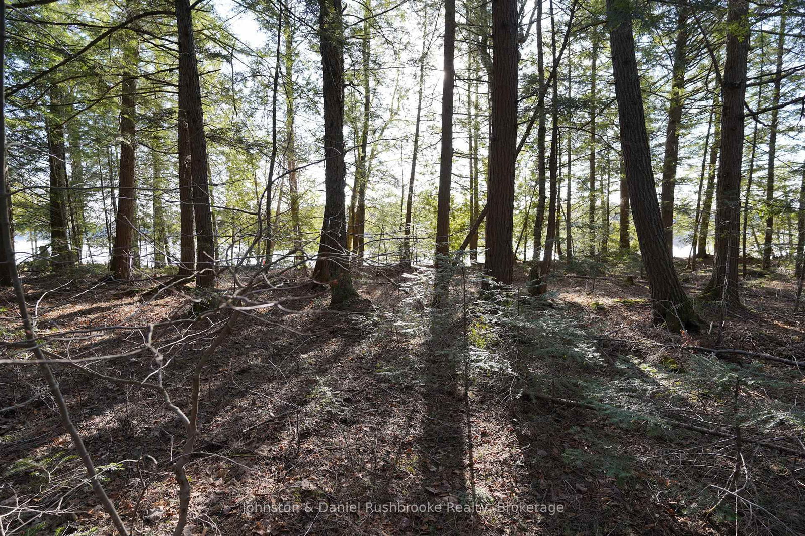 Lot 1 West Bear Lake Road • McMurrich/Monteith, ON photo 12