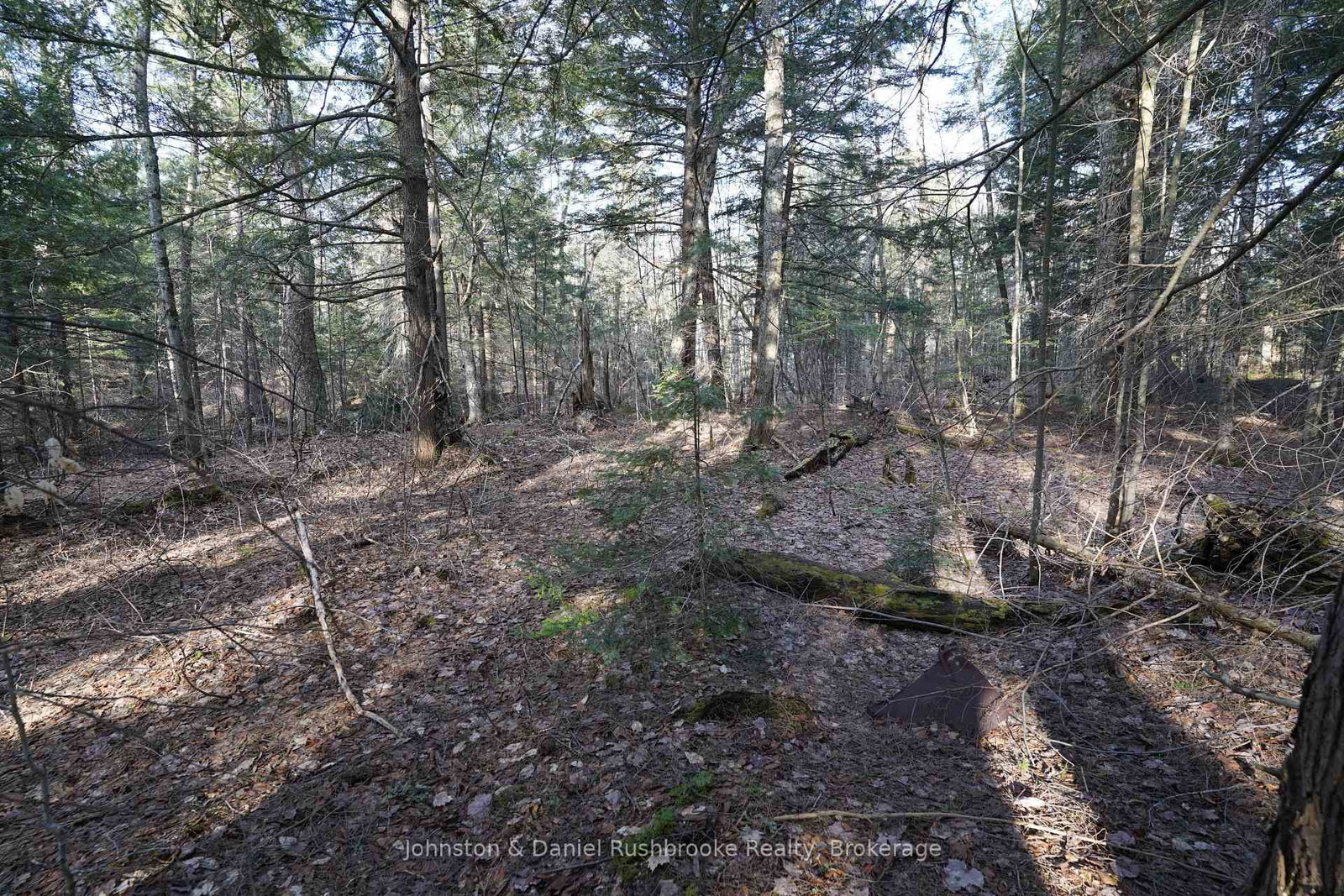 Lot 1 West Bear Lake Road • McMurrich/Monteith, ON photo 13