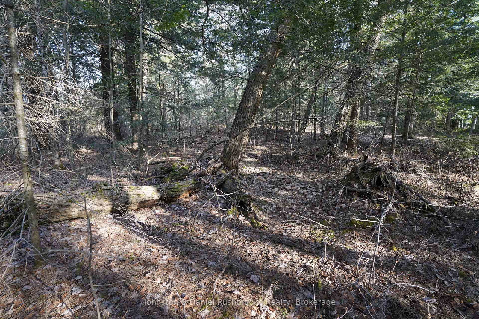 Lot 1 West Bear Lake Road • McMurrich/Monteith, ON photo 14