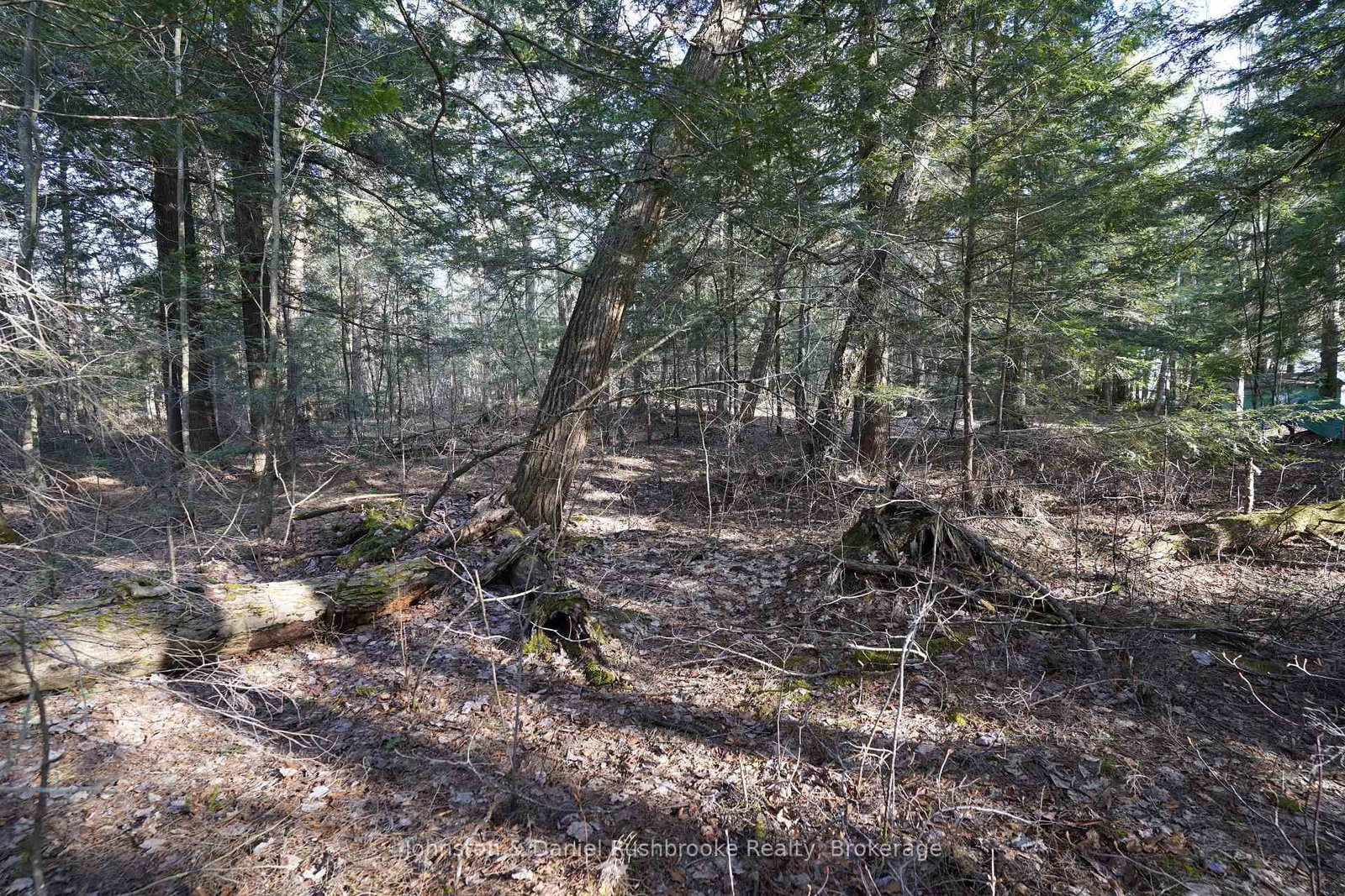 Lot 1 West Bear Lake Road • McMurrich/Monteith, ON photo 15