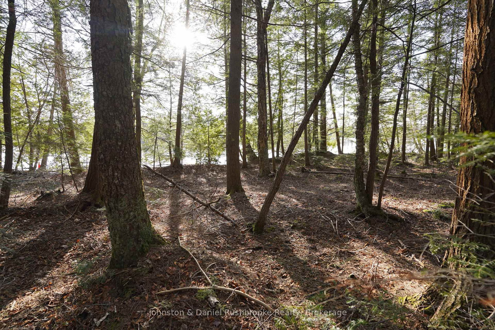 Lot 1 West Bear Lake Road • McMurrich/Monteith, ON photo 17