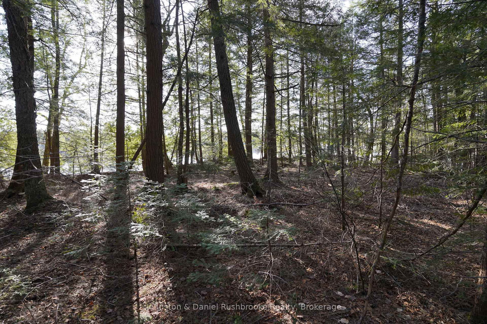 Lot 1 West Bear Lake Road • McMurrich/Monteith, ON photo 18