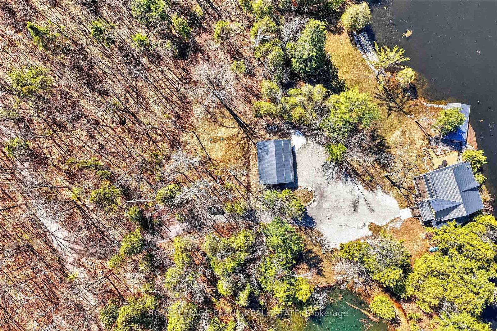 1484 Birchview Road • Douro-Dummer, ON photo 50