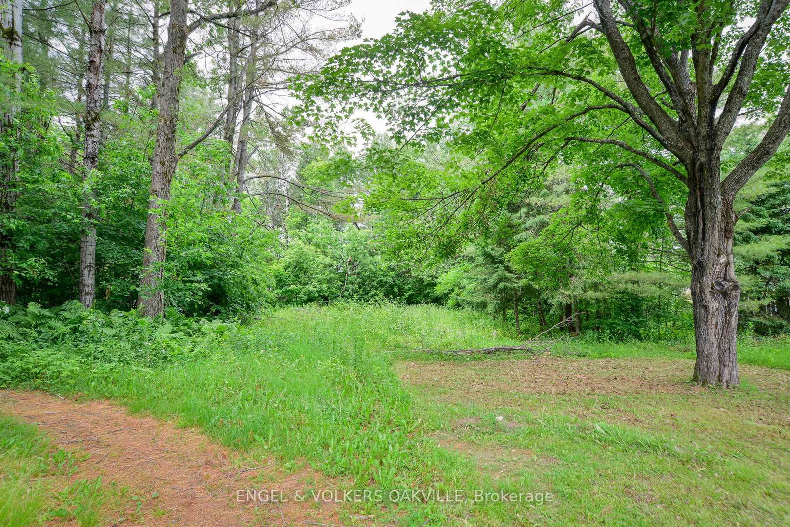 253 Maple Street - Photo 5