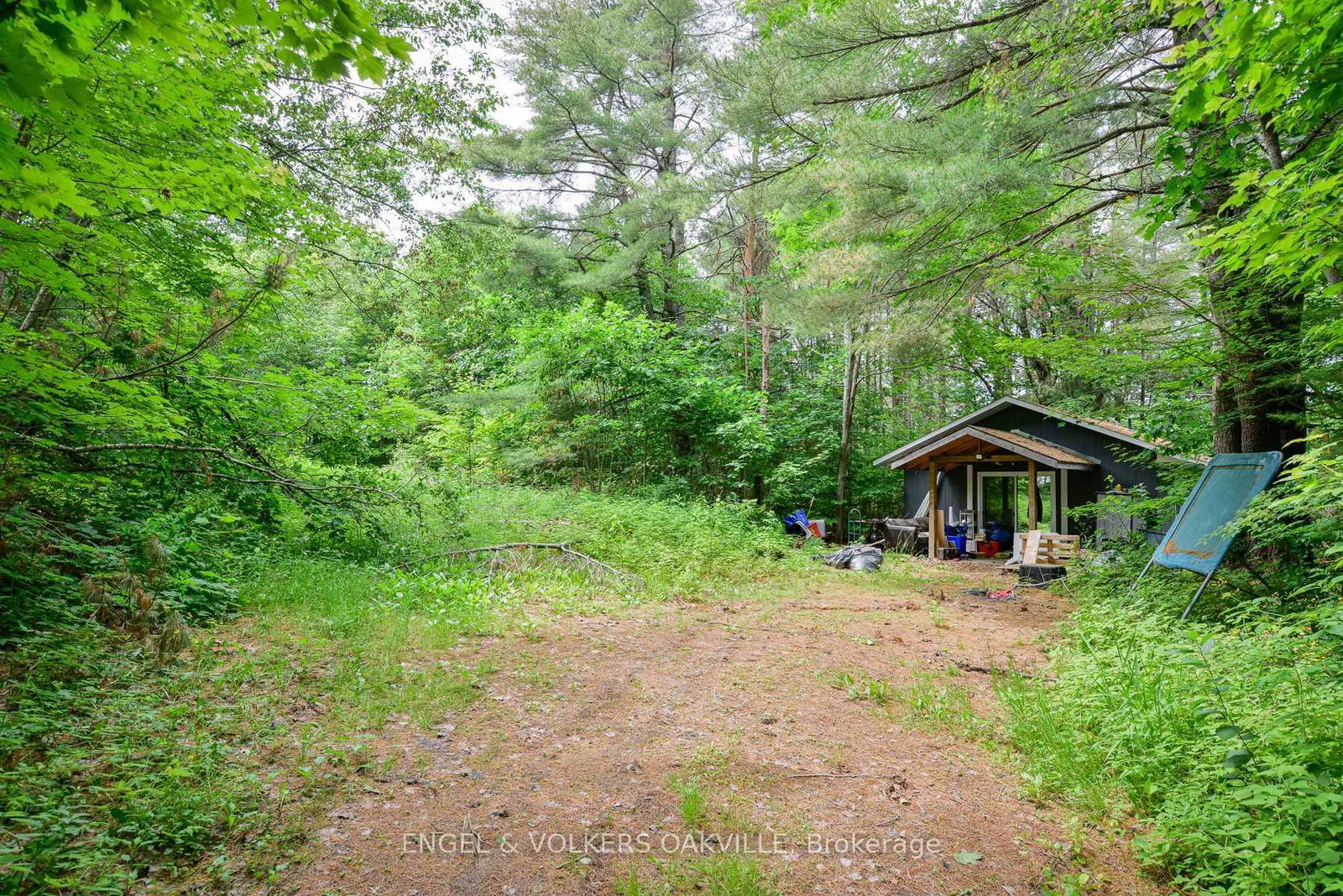 253 Maple Street - Photo 6