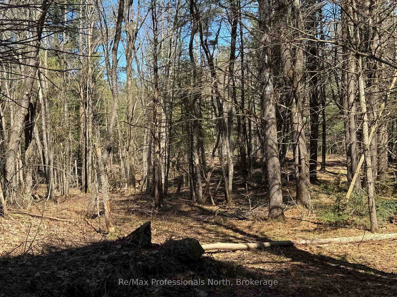 Lot 15 Con 2 Draper, Bracebridge, P1P 1R3 | Image 3